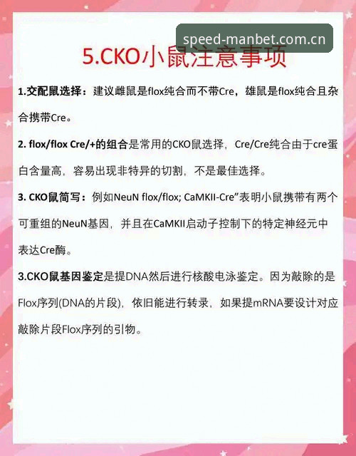 曼贝体育平台MANBET CN新版比分数据入口避坑指南：从“找不到”到“用明白”